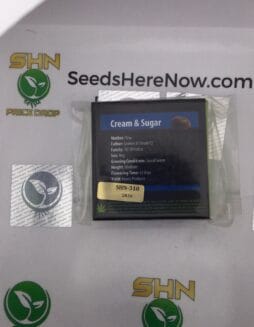 Cream & Sugar (Regular) – Exotic Genetix | Vault Release