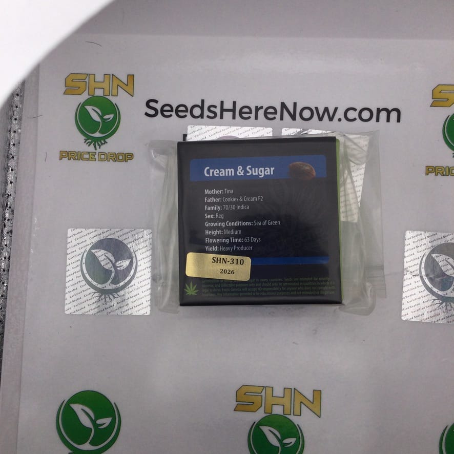 Cream & Sugar (Regular) – Exotic Genetix | Vault Release