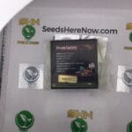 Dream Factory (Feminized) – Exotic Genetix | Vault Release