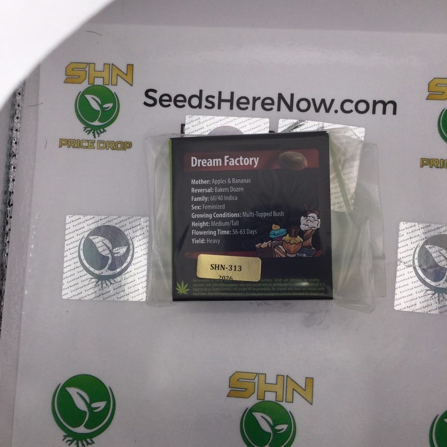 Dream Factory (Feminized) – Exotic Genetix | Vault Release