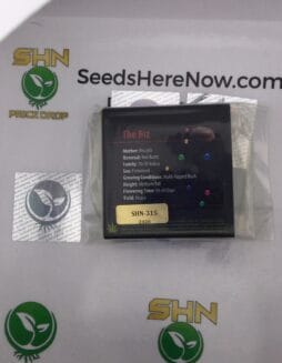 The Biz (Regular) – Exotic Genetix | Vault Release