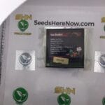 Gas Basket (Feminized) – Exotic Genetix | Vault Release