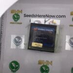 Strawberry Lemonade (Regular) – Exotic Genetix | Vault Release