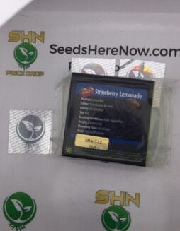 Strawberry Lemonade (Regular) – Exotic Genetix | Vault Release