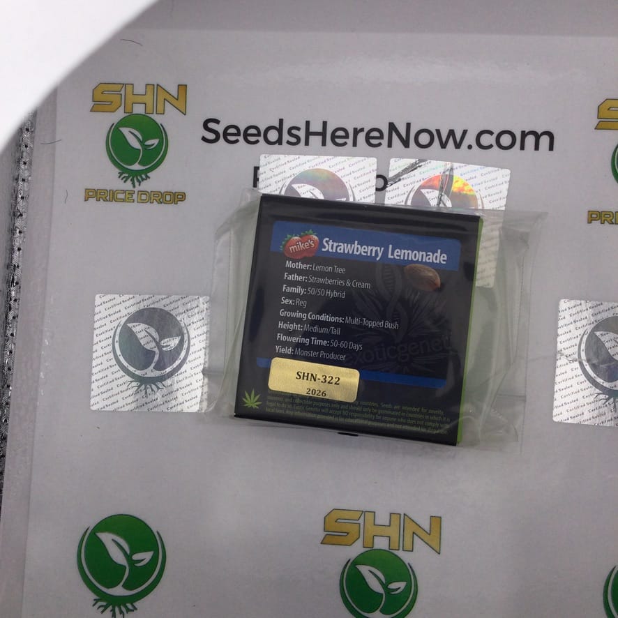 Strawberry Lemonade (Regular) – Exotic Genetix | Vault Release