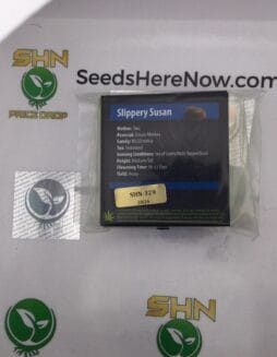 Slippery Susan (Regular & Feminized) – Exotic Genetix | Vault Release