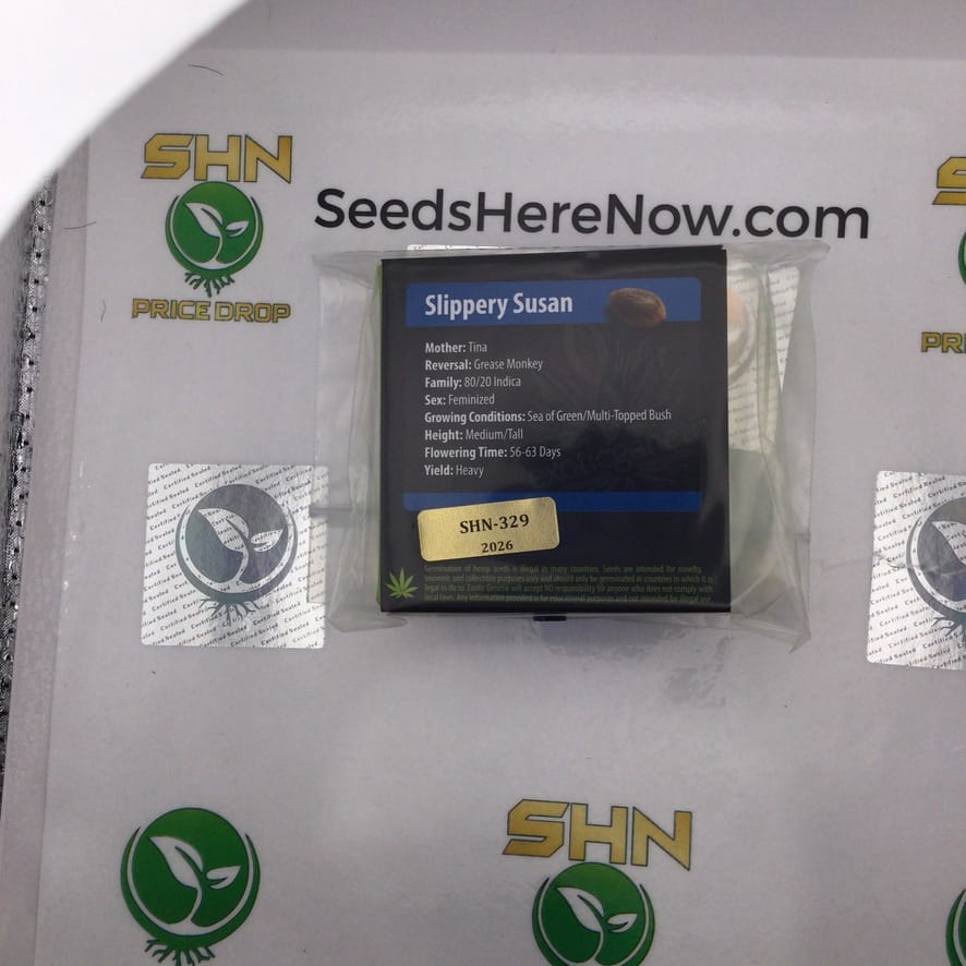 Slippery Susan (Regular & Feminized) – Exotic Genetix | Vault Release