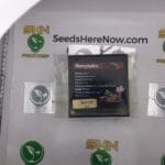 MoneyMaker (Regular) – Exotic Genetix | Vault Release