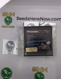 MoneyMaker (Regular) – Exotic Genetix | Vault Release