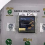 Dole Whip (Regular) – Exotic Genetix | Vault Release