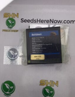 Meltdown (Regular) – Exotic Genetix | Vault Release