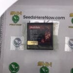 Mouth Party (Regular) – Exotic Genetix | Vault Release