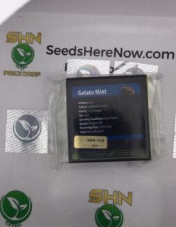 Gelato Mint (Regular) – Exotic Genetix | Vault Release