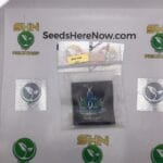 Head Case (Regular) – Exotic Genetix | Vault Release