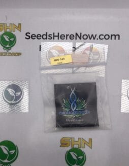 Head Case (Regular) – Exotic Genetix | Vault Release