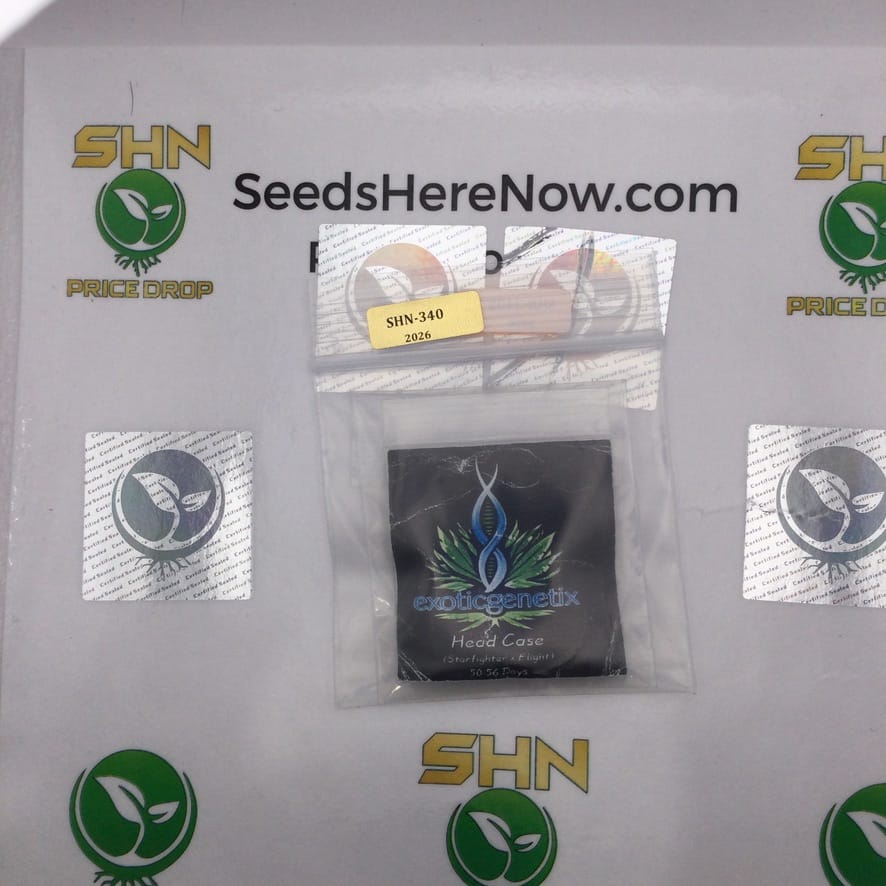 Head Case (Regular) – Exotic Genetix | Vault Release