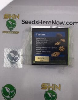 Bonkers (Regular) – Exotic Genetix | Vault Release