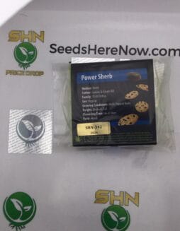 Power Sherb (Regular) – Exotic Genetix | Vault Release