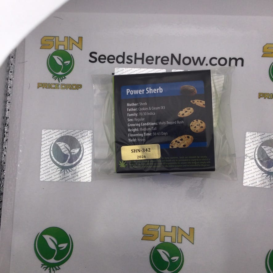 Power Sherb (Regular) – Exotic Genetix | Vault Release