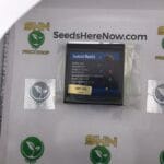 Sunset Runtz (Regular) – Exotic Genetix | Vault Release