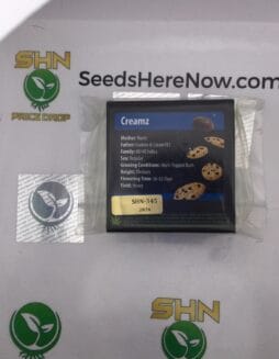 Creamz (Regular) – Exotic Genetix | Vault Release