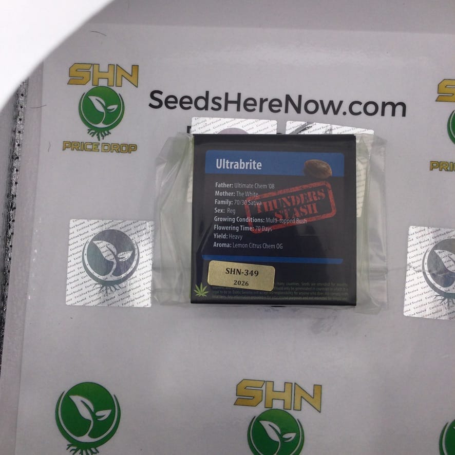 Ultrabrite (Regular) – Exotic Genetix | Vault Release