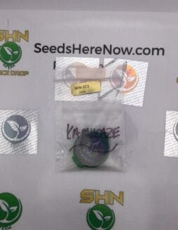 Kamikaze – Exotic Genetix | Vault Release