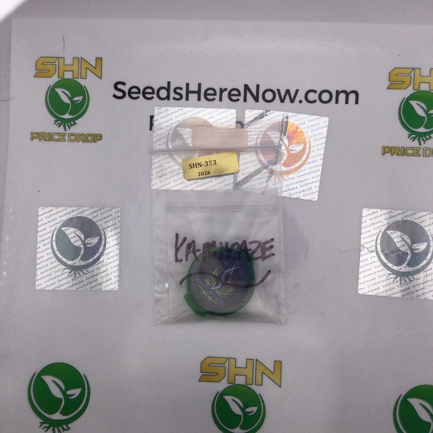 Kamikaze – Exotic Genetix | Vault Release