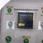 Bootylicious (Regular) – Exotic Genetix | Vault Release