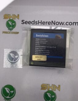 Bootylicious (Regular) – Exotic Genetix | Vault Release