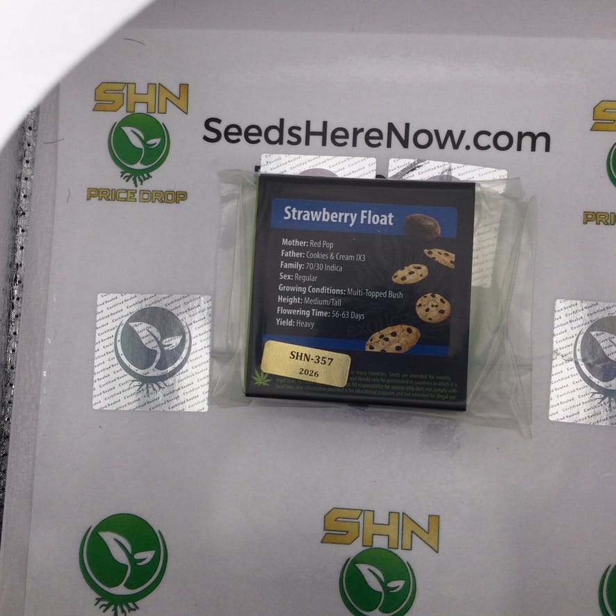 Strawberry Float (Regular) – Exotic Genetix | Vault Release