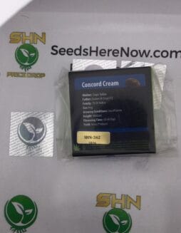 Concord Cream (Regular) – Exotic Genetix | Vault Release