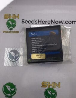 Tarts (Regular) – Exotic Genetix | Vault Release