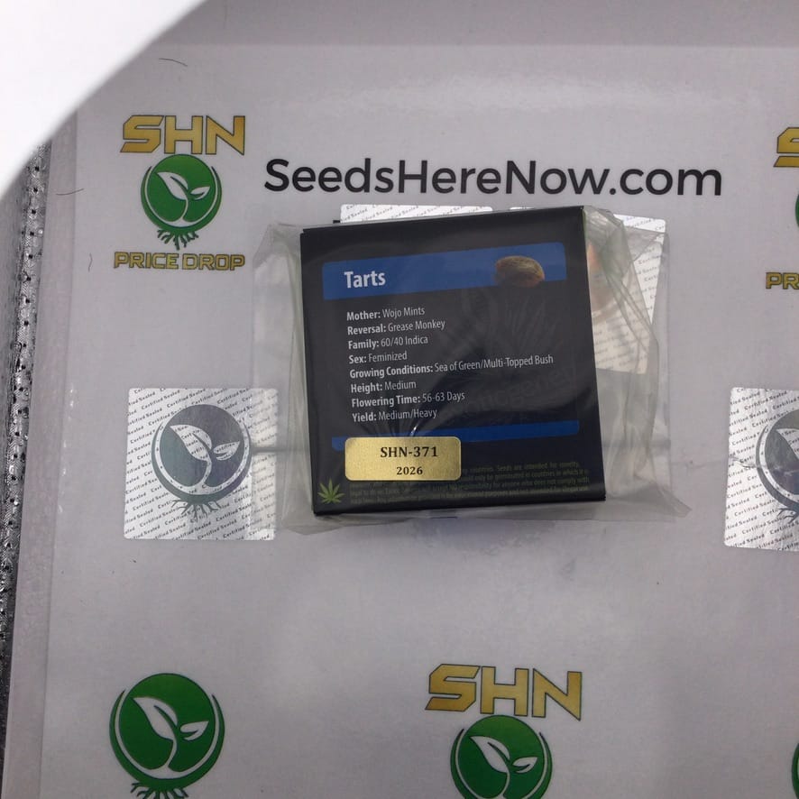 Tarts (Regular) – Exotic Genetix | Vault Release