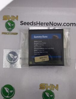 Gummy Buns (Feminized) – Exotic Genetix | Vault Release