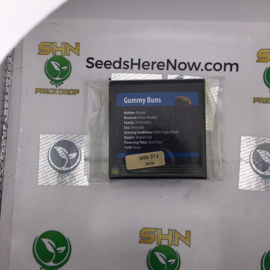 Gummy Buns (Feminized) – Exotic Genetix | Vault Release