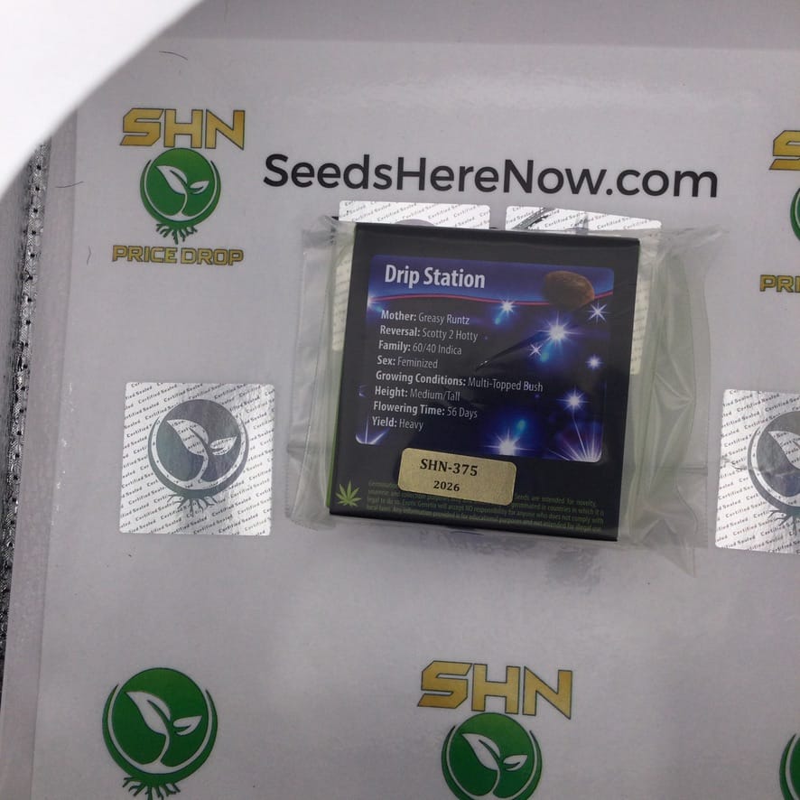 Drip Station (Feminized) – Exotic Genetix | Vault Release