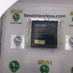 Mystic Magic (Regular) – Exotic Genetix | Vault Release