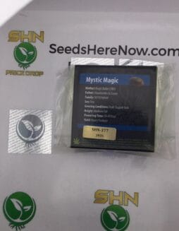 Mystic Magic (Regular) – Exotic Genetix | Vault Release