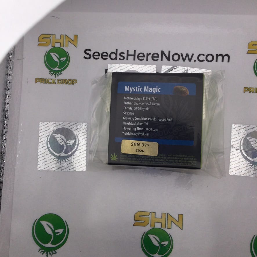 Mystic Magic (Regular) – Exotic Genetix | Vault Release