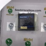 Dessert Runtz (Feminized) – Exotic Genetix | Vault Release