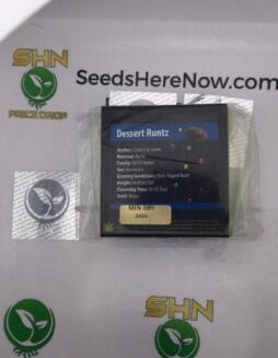 Dessert Runtz (Feminized) – Exotic Genetix | Vault Release