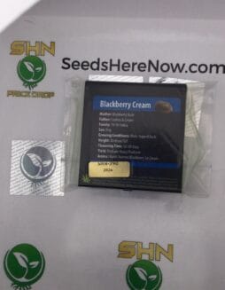 Blackberry Cream (Regular) – Exotic Genetix | Vault Release