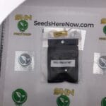 Hilo Hammer (Feminized) – Archive Seed Bank | Vault Release