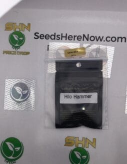 Hilo Hammer (Feminized) – Archive Seed Bank | Vault Release