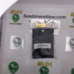 Gelato 25 X Dosidos (Feminized) – Archive Seed Bank | Vault Release