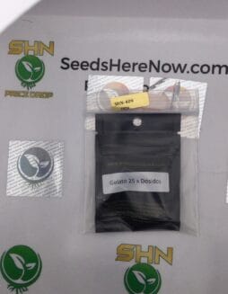 Gelato 25 X Dosidos (Feminized) – Archive Seed Bank | Vault Release