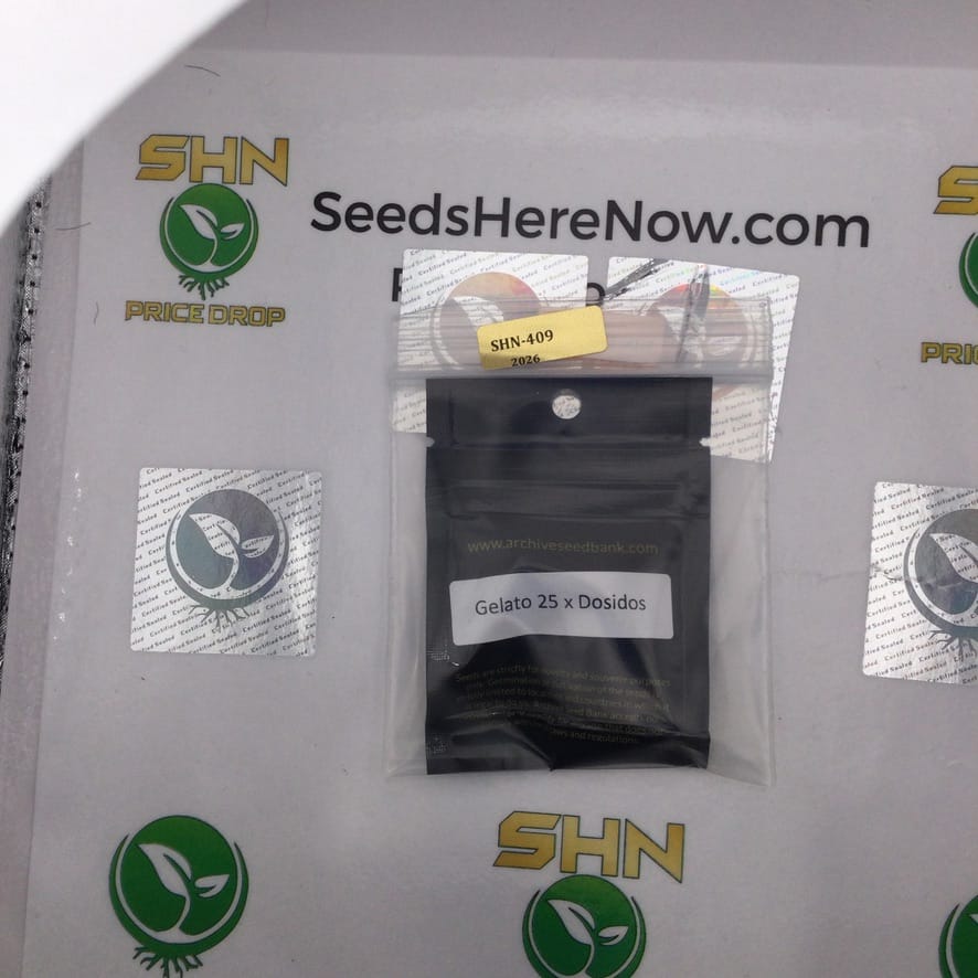 Gelato 25 X Dosidos (Feminized) – Archive Seed Bank | Vault Release