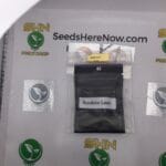 Sunshine Lime (Regular) – Archive Seed Bank | Vault Release