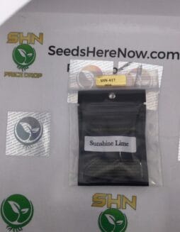 Sunshine Lime (Regular) – Archive Seed Bank | Vault Release